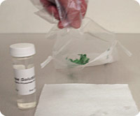 Food test - Food/Object Sampler Kit